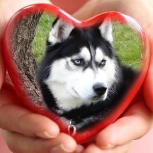 Meet your Posher, Penny